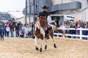 Reitsportmesse Gießen 2023, Messeimpression